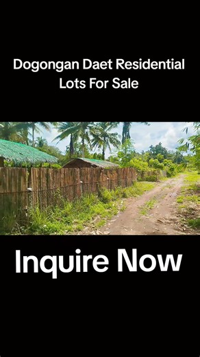 Cpr Lights Sounds on Reels | Facebook