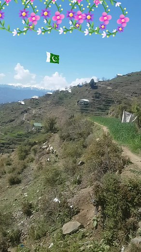 Exploring a Scenic Pakistani Mountain Landscape