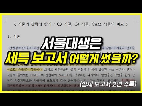 A Seoul National University student's actual tax report + tax writing method revealed.