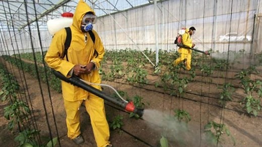 UN: 200,000 die each year from pesticide poisoning