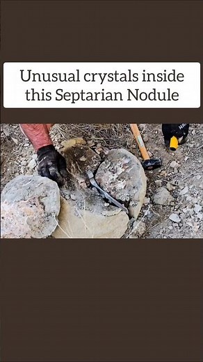 The Strangest Rocks In Colorado: Stunning Septarian Stones!