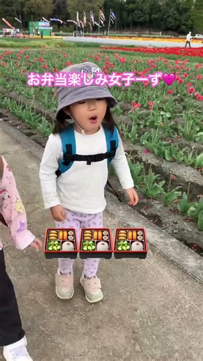 【ありんこ保育園】お弁当♫お弁当♫ #保育園 #保育士 #子ども #福生 #2歳児 #羽村 #チューリップ畑 #お弁当