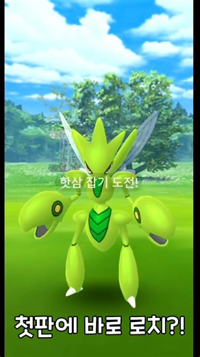 이로치 핫삼과 메가 진화의 놀라운 조합