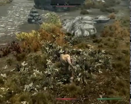 SkyTEST - Realistic Animals and Predators