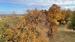 Towering views at High Cliff State Park in Calumet County