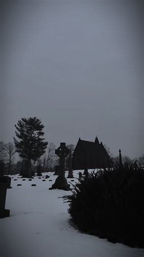 #dracula | dracula