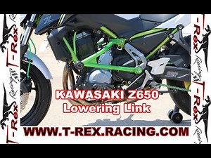 T-Rex Racing Kawasaki Z650 Z 650 Lowering Link
