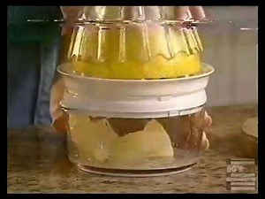 Citrus Express commercial 1998