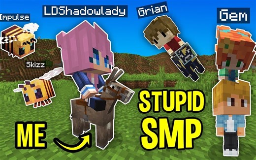 【生/smallishbeans】我们开始了最傻的SMP