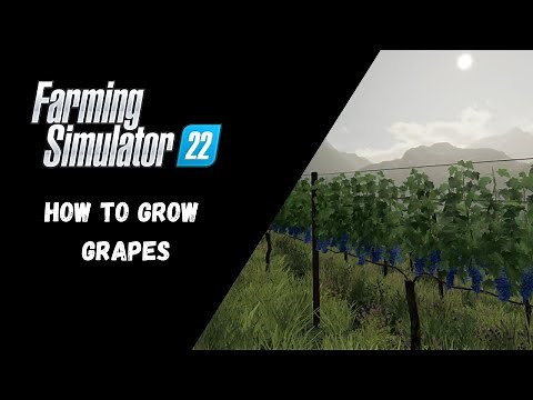 FS22 - How To Grow Grapes - Farming Simulator 22