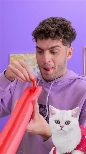 Haha 😂 Wenn der Plan schief geht! 😸 #shorts