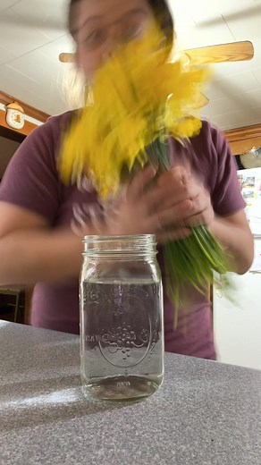 The first of many daffodil arrangements. It. Is. February. 🌼 | Appalachian Forager
