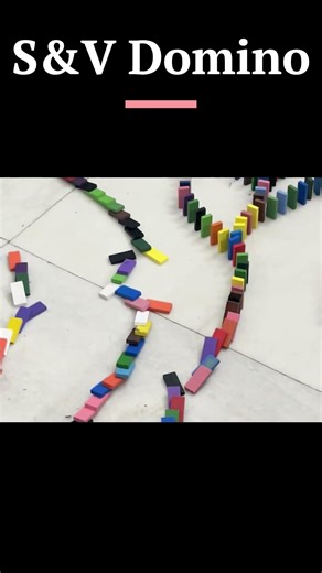 Our biggest project ever | S&V Domino