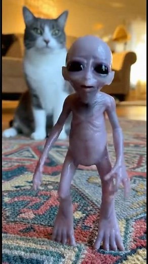 Cat Caught an Alien and the Alien Is Absolutely Furious About It 😭👽 #shorts #alien