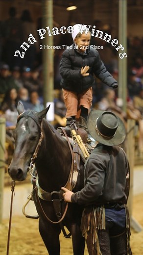 14K views · 111 reactions | ⭐2nd Place winners at Dixie Trail Competition!⭐ Hip 350 Agape Hip 455 Boone These Horses will be sold on Saturday November 30 Come check them out before they sell! | Dixie Horse Auction | Facebook