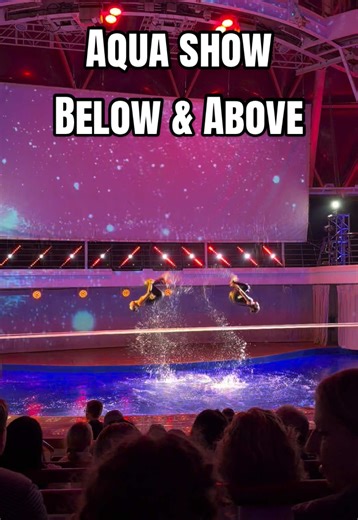 Aqua Show Experience: Below and Above the Water