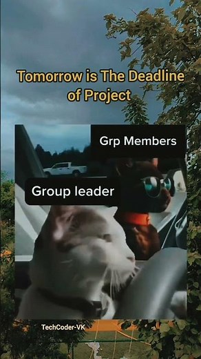 😁🤭#programming #coding #webdevelopment #project #c++ #javascript #funny #shortvideo