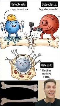 Tecido Ósseo 🦴 #anatomia #histologia #biologia #videoviral #curiosidade #enem #vestibular