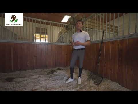 How to Use Hemp Bedding in a Horse Stall - Alejandro Winkler