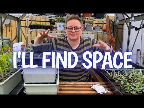 I have no idea where these are going to go (more April seeds)