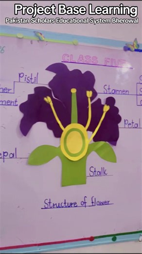 Exploring Parts of a Flower with Project-Based Learning