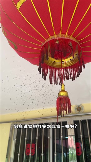 关于小飞虫的烦恼与对策