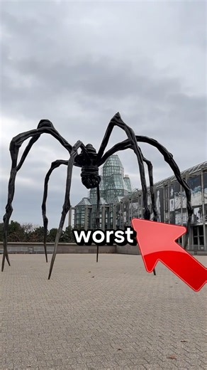 Disturbing Secret Of This Spider 🕷️