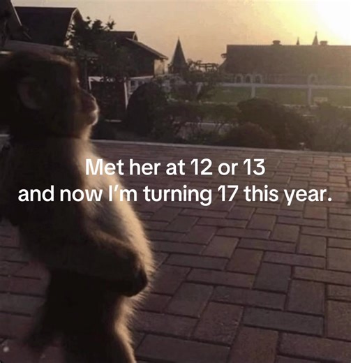 Heartfelt Message for My Amazing Girlfriend