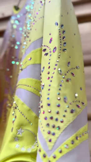 Bespoke Long Sleeve Leotards for Gymnasts