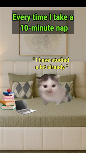 Every time I take 10 minutes nap 😴 #catmeme #storytime #fypviral