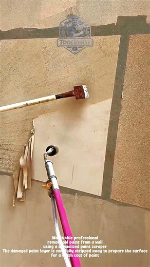 Old Wall Paint Removal Process | Preparing Walls for a Perfect Repaint
