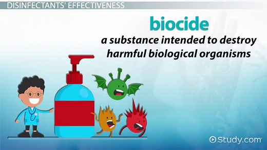 Phenol Coefficient Test: Definition & Uses