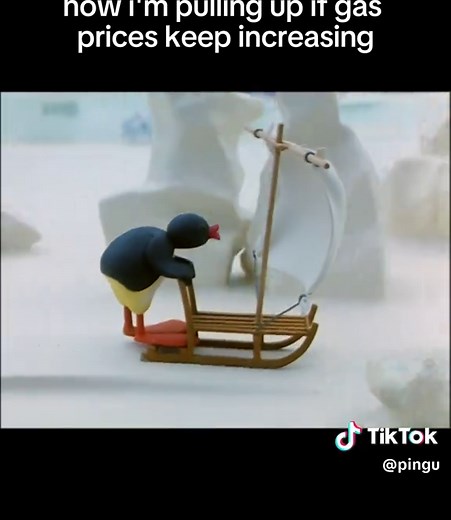 desperate times #pingu #nootnoot #nostalgia | pingu
