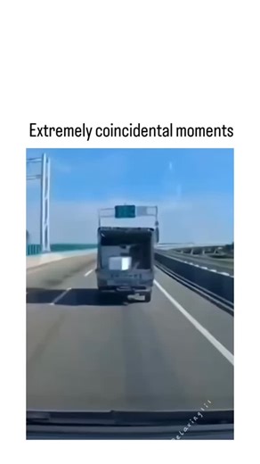 Neone Explain on Instagram: "The post features a 1-minute compilation video of split-screen "coincidental moments," showcasing serendipitous synchronizations like a chicken laying an egg timed perfectly with a passing car or traffic lights mirroring pasta shapes, curated by @Rainmaker1973 to evoke wonder through everyday improbabilities. These clips highlight synchronicity, a concept explored in psychology (e.g., Carl Jung's theory of meaningful coincidences), with the video's viral appeal stemm