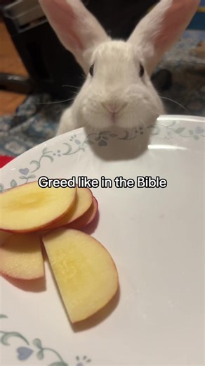 Understanding Greed in Biblical Context