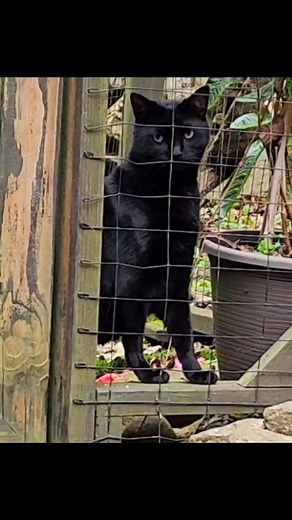 Sophie The Model on Reels