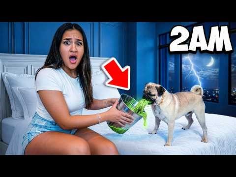 Our Puppy Woke Up THROWING UP In The Middle Of The Night!