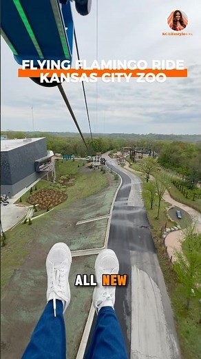 Flying Flamingo 🦩 Zip Line Ride 📍Kansas City Zoo #kczoo