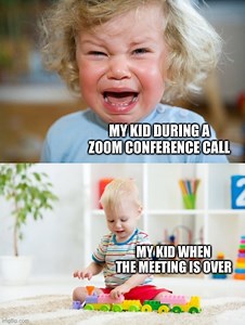 Zoom video conference call meme