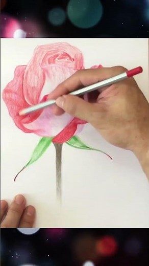 Drawing roses