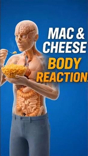 1 Bowl of Mac & Cheese = Body Reaction 😱 | Inside Human Body (3D)