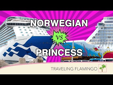 Norwegian vs Princess Cruise Lines | Which Cruise Line is for YOU?!