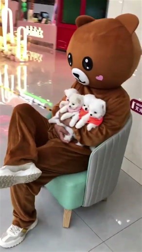 #All My Pets, One Big Hug#Caught with a Handful of Happiness#Fluffy Squad Goals,part,021