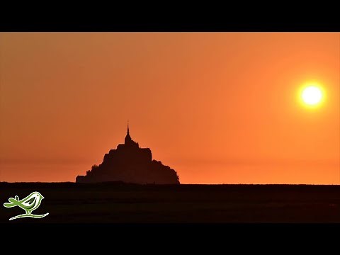 3 Hours of Relaxing Indian Flute Music | Instrumental Meditation Music ★7