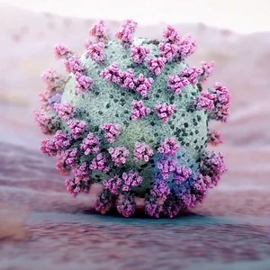 COVID-19 is a leading cause of death in children and teens in the U.S. | Science Nature Page | Facebook