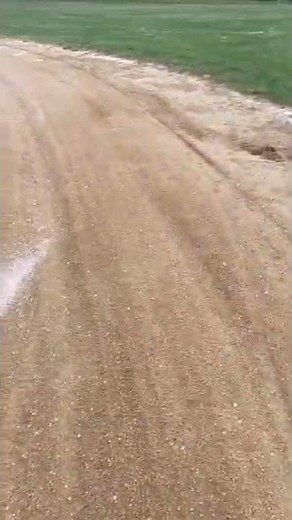 Salting a baseball infield to prevent weeds
