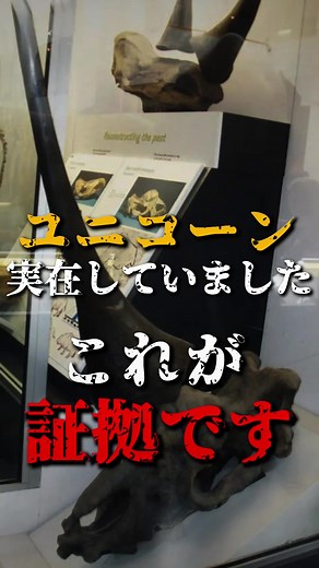 ユニコーンの実在証拠と都市伝説の真実