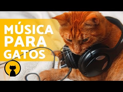 MÚSICA RELAJANTE para GATOS 🐱🎶 ¡Relaja y Calma a tu Gato en Minutos!