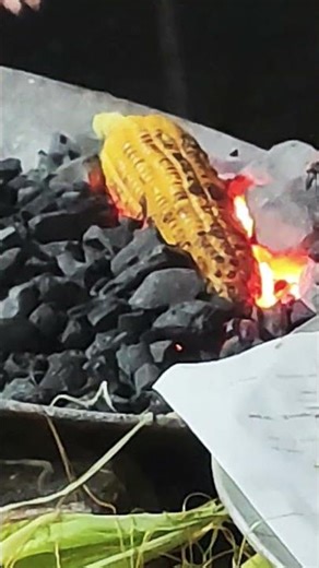 How to Roast Corn on Charcoal