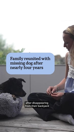 A Tasmanian family has been reunited with their dog Lucy, nearly four years after she disappeared from the front yard of their West Hobart home in March 2022. Full story: https://ab.co/4qOlm3p | ABC Hobart